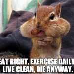 diet | EAT RIGHT, EXERCISE DAILY, LIVE CLEAN, DIE ANYWAY. | image tagged in diet | made w/ Imgflip meme maker