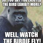 gorilla vs. bird | SO, YOU SAY YOU ENJOYED THE BIRD EXHIBIT MORE? WELL, WATCH THE BIRDIE FLY! | image tagged in gorilla vs bird | made w/ Imgflip meme maker