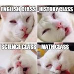 Bored cat | HISTORY CLASS; ENGLISH CLASS; SCIENCE CLASS; MATH CLASS | image tagged in bored cat,memes | made w/ Imgflip meme maker