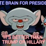 Pinky and the Brain | VOTE BRAIN FOR PRESIDENT; IT'S BETTER THAN TRUMP OR HILLARY | image tagged in pinky and the brain | made w/ Imgflip meme maker