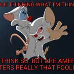 Brain decides to run for president | ARE YOU THINKING WHAT I'M THINKING? UM, I THINK SO. BUT ARE AMERICAN VOTERS REALLY THAT FOOLISH? | image tagged in pinky and the brain | made w/ Imgflip meme maker