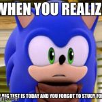 surprised sonic | WHEN YOU REALIZE; THE BIG TEST IS TODAY AND YOU FORGOT TO STUDY FOR IT | image tagged in surprised sonic,big test,test,when you realize | made w/ Imgflip meme maker