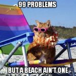 Beach Cat | 99 PROBLEMS; BUT A BEACH AIN'T ONE | image tagged in beach cat | made w/ Imgflip meme maker