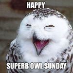 To all those in America, Happy super bowl Sunday | HAPPY; SUPERB OWL SUNDAY | image tagged in to all those in america happy super bowl sunday | made w/ Imgflip meme maker