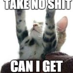 no shit cat | DO NO HARM, TAKE NO SHIT; CAN I GET AN AMEN? | image tagged in amen cat | made w/ Imgflip meme maker