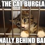 cat prison | SID, THE CAT BURGLAR IS; FINALLY BEHIND BARS | image tagged in cat jail | made w/ Imgflip meme maker