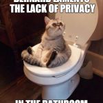 cat bathroom | BERNARD LAMENTS THE LACK OF PRIVACY; IN THE BATHROOM | image tagged in cat shits | made w/ Imgflip meme maker