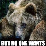 Sad Bear | I'M SO CUTE; BUT NO ONE WANTS TO HUG ME | image tagged in sad bear | made w/ Imgflip meme maker