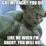 I wasn't allowed to see the force awakens, on it's release date. Angry, I was. | GOT ME ANGRY, YOU DID; LIKE ME WHEN I'M ANGRY, YOU WILL NOT. | image tagged in the incredible yoda | made w/ Imgflip meme maker