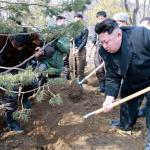 the hunt of kim jong un