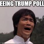 am i taking crazy pills? | SEEING TRUMP POLLS | image tagged in bruce lee | made w/ Imgflip meme maker