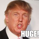Donald Trump | HUGE! | image tagged in donald trump | made w/ Imgflip meme maker