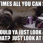 puppymonkeybaby | SOMETIMES ALL YOU CAN SAY IS, WOULD YA JUST LOOK AT THAT?  JUST LOOK AT IT! | image tagged in puppymonkeybaby | made w/ Imgflip meme maker