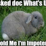 Bunny | Asked doc What's Up; Told Me I'm Impotent | image tagged in bunny | made w/ Imgflip meme maker