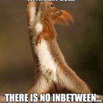 My dance styles | MY DANCING RANGES FROM DAD DANCING TO STRIPPER WITH RENT DUE... THERE IS NO INBETWEEN... | image tagged in dancing squirrel,stripper,dad dancing,dad | made w/ Imgflip meme maker