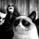 black metal grumpy cat meme