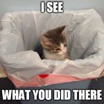 Now what? | I SEE; WHAT YOU DID THERE | image tagged in lolcats | made w/ Imgflip meme maker