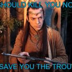 Slightly Irritated | (I SHOULD KILL YOU NOW); (TO SAVE YOU THE TROUBLE) | image tagged in elrond,elrond memes,elrond and thorin | made w/ Imgflip meme maker