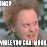 Jon Whorfin | SNOWING? ENJOY WHILE YOU CAN, MONKEY BOY! | image tagged in jon whorfin | made w/ Imgflip meme maker