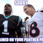 Cam Newton Peyton Manning | SORRY; WE RAINED ON YOUR PANTHER PARADE | image tagged in cam newton peyton manning | made w/ Imgflip meme maker