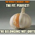 immigrants  | THE FIT, PERFECT! THE WORLD'S MIGRANT TODAY; THE BELONGING, NOT QUITE! | image tagged in immigrants | made w/ Imgflip meme maker