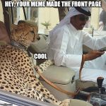 Meanwhile, in Dubai | HEY, YOUR MEME MADE THE FRONT PAGE; COOL | image tagged in cats,memes,look at me | made w/ Imgflip meme maker