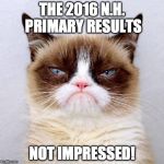 Grumpy Cat Outside | THE 2016 N.H. PRIMARY RESULTS; NOT IMPRESSED! | image tagged in grumpy cat outside | made w/ Imgflip meme maker