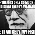 Sigmund says | THERE IS ONLY SO MUCH LIBIDINAL ENERGY AVAILABLE; USE IT WISELY MY FRIEND | image tagged in sigmund says,memes,freud,libido,renewable energy,the most interesting man in the world | made w/ Imgflip meme maker