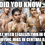 Social Justice Gang | DID YOU KNOW... THAT WEED LEGALIZATION IN U.S. IS DESTROYING JOBS IN CENTRAL AMERICA? | image tagged in social justice gang,weed | made w/ Imgflip meme maker
