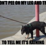 don't lie to me | DON'T PEE ON MY LEG AND TRY; TO TELL ME IT'S RAINING | image tagged in dog peeing | made w/ Imgflip meme maker