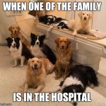 Dogs in MRI machine | WHEN ONE OF THE FAMILY; IS IN THE HOSPITAL | image tagged in dogs in mri machine | made w/ Imgflip meme maker