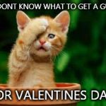 He got me 2 bags full of gifts. I don't know what to get him though...  | I DONT KNOW WHAT TO GET A GUY; FOR VALENTINES DAY! | image tagged in face palm cat | made w/ Imgflip meme maker