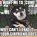 cool dog wisdom | YOU WANT ME TO "COME"...? WHY CAN'T I  FAKE IT,... YOUR GIRFRIEND DOES. | image tagged in cool dog | made w/ Imgflip meme maker