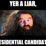 Hagrid on Presidential Candidates | YER A LIAR, PRESIDENTIAL CANDIDATE X | image tagged in hagrid,liar,presidential candidates | made w/ Imgflip meme maker