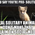 camping | YOU SAY YOU'RE PRO- SOLITUDE; REAL SOLITARY ANIMALS DON'T MAKE THAT CLAIM ON SOCIAL MEDIA | image tagged in camping | made w/ Imgflip meme maker