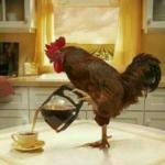 Cock & Coffee