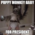 Puppy monkey baby  | PUPPY MONKEY BABY FOR PRESIDENT | image tagged in puppy monkey baby | made w/ Imgflip meme maker