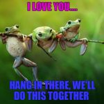 GymFrogs | I LOVE YOU.... HANG IN THERE, WE'LL DO THIS TOGETHER | image tagged in gymfrogs | made w/ Imgflip meme maker