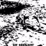 Did you spot the dog?  | SIT, SPOT, SIT! | image tagged in dog-spot,spot,dog,sit,brain | made w/ Imgflip meme maker