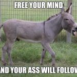 Donkey | FREE YOUR MIND; AND YOUR ASS WILL FOLLOW | image tagged in donkey | made w/ Imgflip meme maker