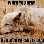 Sad wolf | WHEN YOU HEAR; THE BLACK PARADE IS DEAD | image tagged in sad wolf,my chemical romance,mcr,music | made w/ Imgflip meme maker