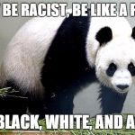 Panda | DON'T BE RACIST, BE LIKE A PANDA; HE'S BLACK, WHITE, AND ASIAN! | image tagged in panda,racism | made w/ Imgflip meme maker