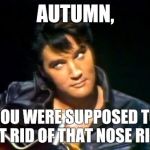 Elvis chastising  | AUTUMN, YOU WERE SUPPOSED TO GET RID OF THAT NOSE RING. | image tagged in elvis chastising | made w/ Imgflip meme maker