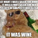 winecat | LAST NIGHT I HAD A SALAD FOR DINNER. IT WAS A FRUIT SALAD AND HAD GRAPES.LOTS OF GRAPES. IT WAS ALL GRAPES; IT WAS WINE | image tagged in winecat | made w/ Imgflip meme maker