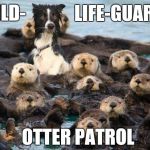 Otter dog | LIFE-GUARDS; WILD-; OTTER PATROL | image tagged in otter dog | made w/ Imgflip meme maker