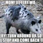 My kids...every damn day | MOM! JEFFERY WO... JEFFERY! TURN AROUND OR SO HELP ME I'LL STOP AND COME BACK THERE... | image tagged in possum family,stop,car,ride,possum | made w/ Imgflip meme maker