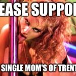 Stripper Pole | PLEASE SUPPORT; THE SINGLE MOM'S OF TRENTON | image tagged in stripper pole | made w/ Imgflip meme maker