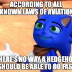 The Sanic Movie | ACCORDING TO ALL KNOWN LAWS OF AVIATION; THERE'S NO WAY A HEDGEHOG SHOULD BE ABLE TO GO FAST | image tagged in the sanic movie | made w/ Imgflip meme maker