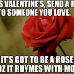 Romantic Rose | THIS VALENTINE'S, SEND A ROSE TO SOMEONE YOU LOVE. IT'S GOT TO BE A ROSE COZ IT RHYMES WITH MOSE | image tagged in rose,romance,valentine's day,valentines | made w/ Imgflip meme maker