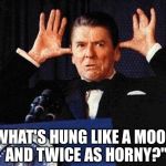 President Reagan does his best Bullwinkle impression | "WHAT'S HUNG LIKE A MOOSE AND TWICE AS HORNY?" | image tagged in ronald reagan | made w/ Imgflip meme maker